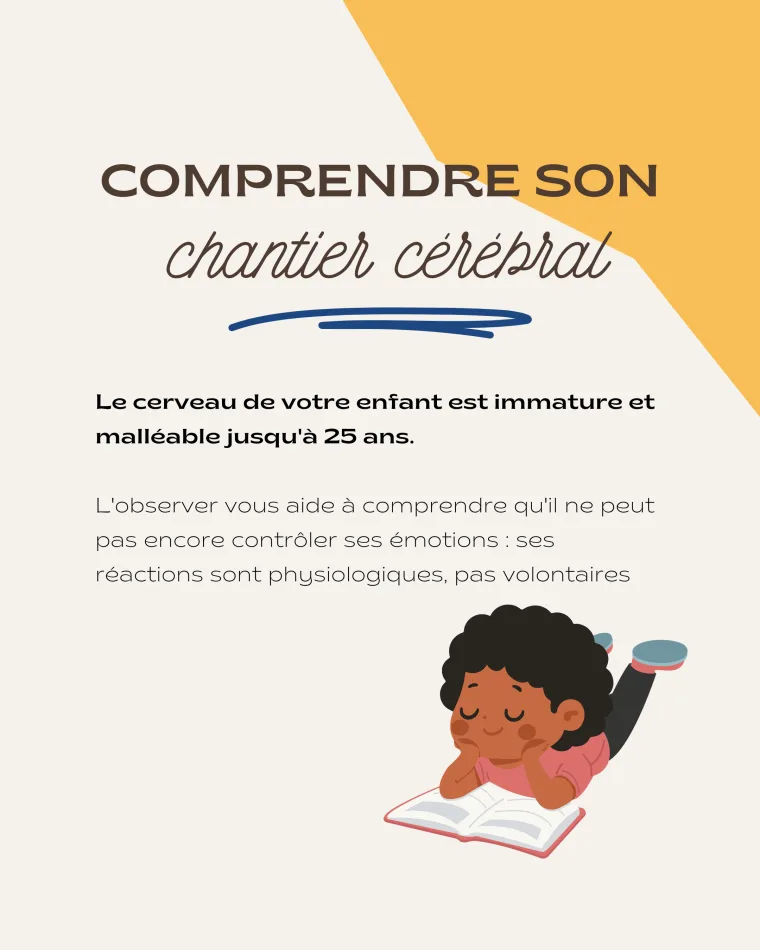 Slide 3 du carrousel pédagogique Les Micro-Crèches de Provence : comprendre son chantier cérébral