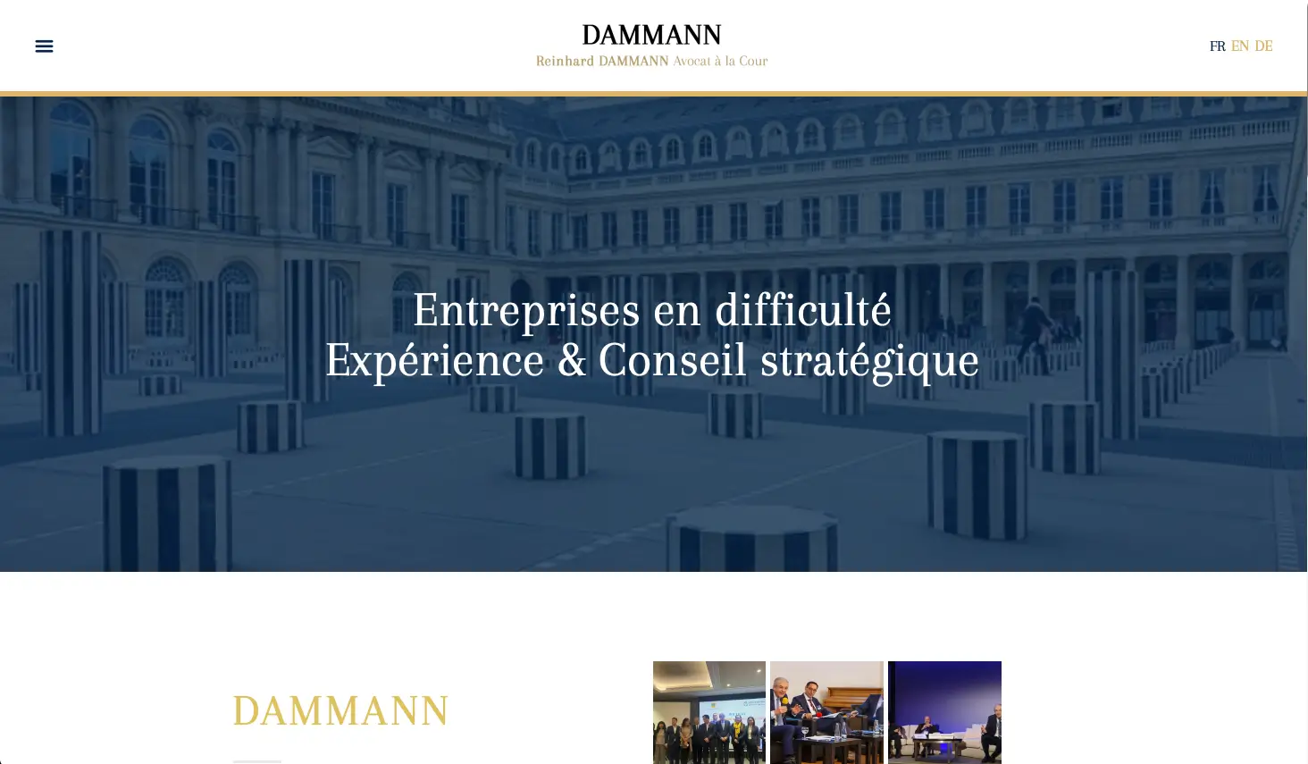Miniature du projet Dammann Avocat