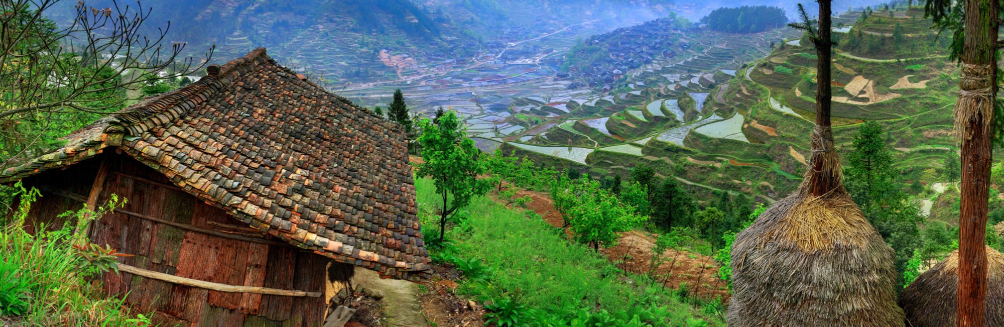 Miniature du projet La Maison d'Echo